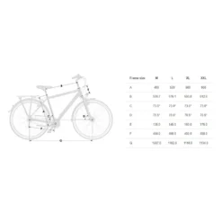 Cross® Areal 28´´ 2021 Bike 5 Cross® Areal 28´´ 2021 Bike -Cheap City Bike Saddle Store cross areal 28 2021 bike 2