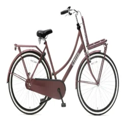 Daily Dutch Basic 28´´ Bike